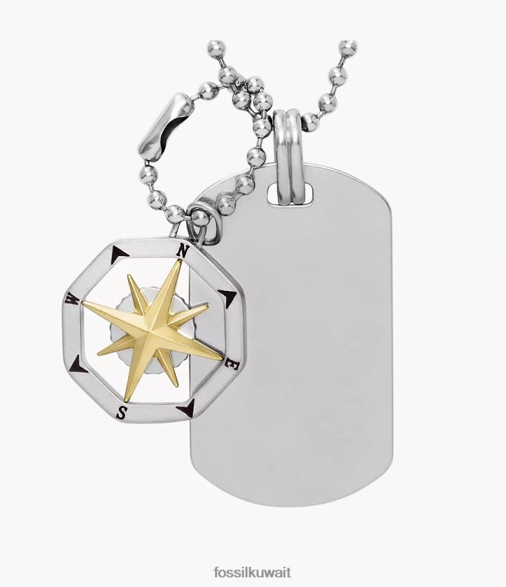 كيلووات Fossil رجال قلادة علامة الكلب من الفولاذ المقاوم للصدأ بوصلة ساتون لهجة الفضة 2F6F21902 مجوهرات