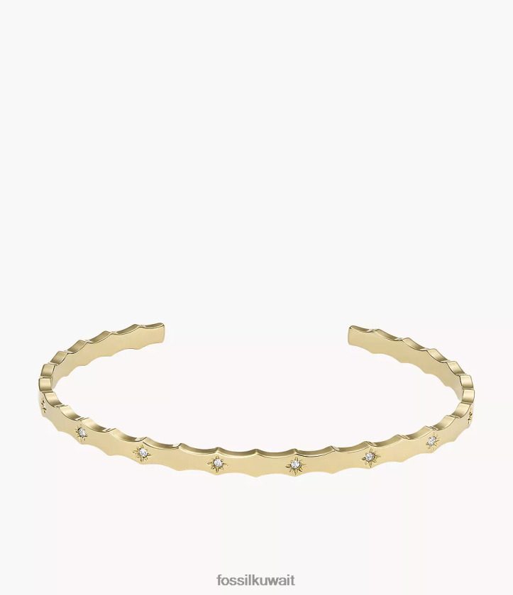 كيلووات Fossil نحيف سوار من الفولاذ المقاوم للصدأ بحافة صدفية من سادي نغمة ذهبية 2F6F2989 مجوهرات